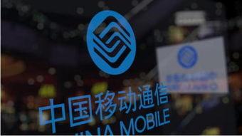 网红华夏和破卡,揭秘网络红人的崛起之路